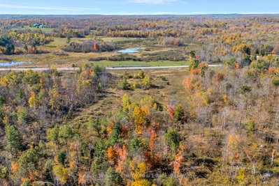 14794 Highway 62 Highway • Madoc, ON photo 5