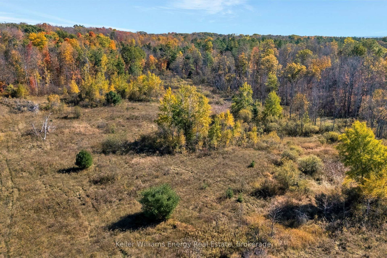 14794 Highway 62 Highway • Madoc, ON photo 8