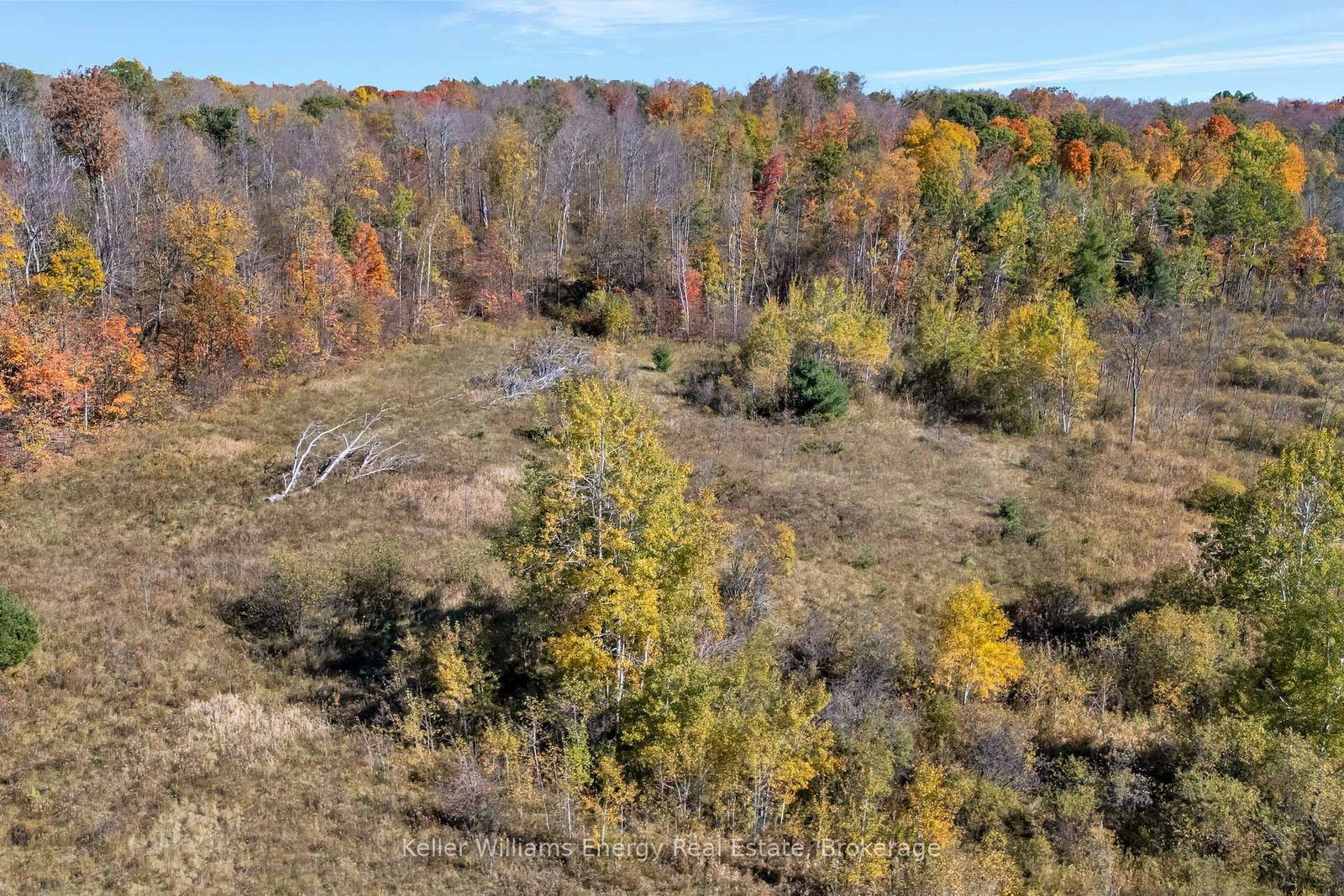 14794 Highway 62 Highway • Madoc, ON photo 9