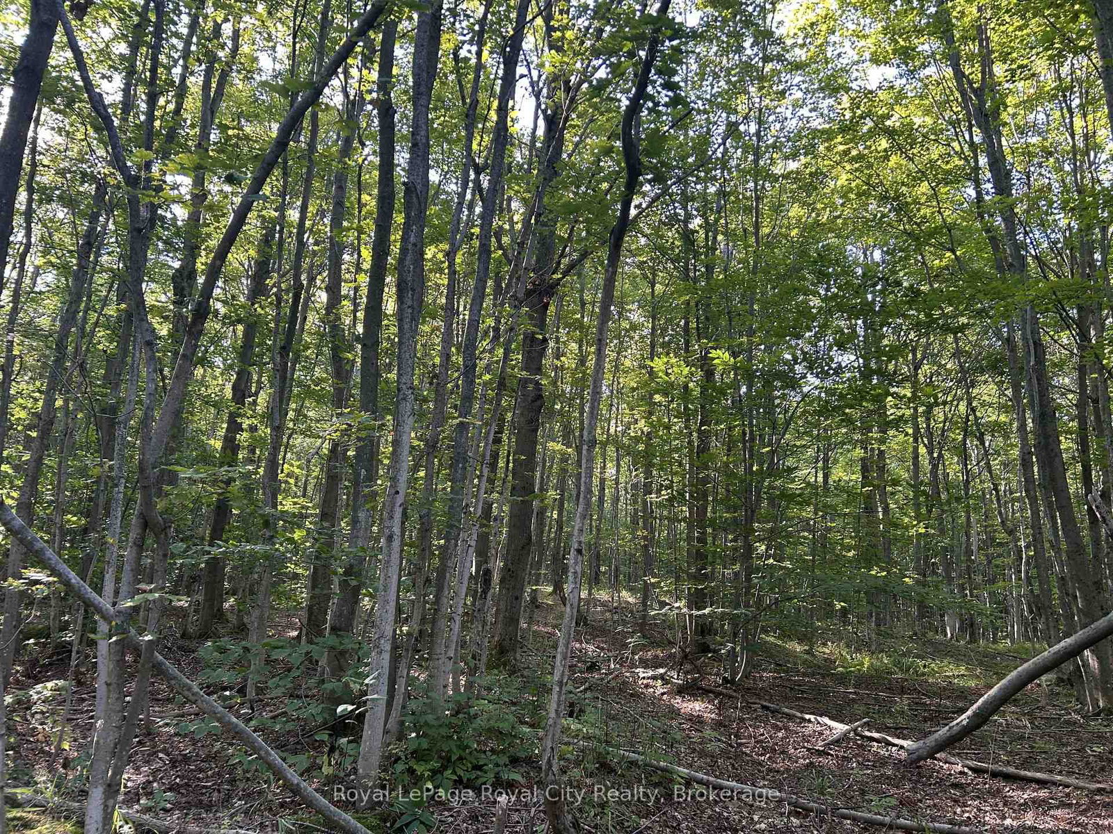 PT LT 9 Con 14 Concession • Northern Bruce Peninsula, ON photo 4