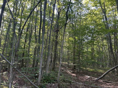 PT LT 9 Con 14  Concession • Northern Bruce Peninsula, ON photo 4