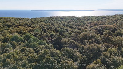PT LT 9 Con 14  Concession • Northern Bruce Peninsula, ON photo 6