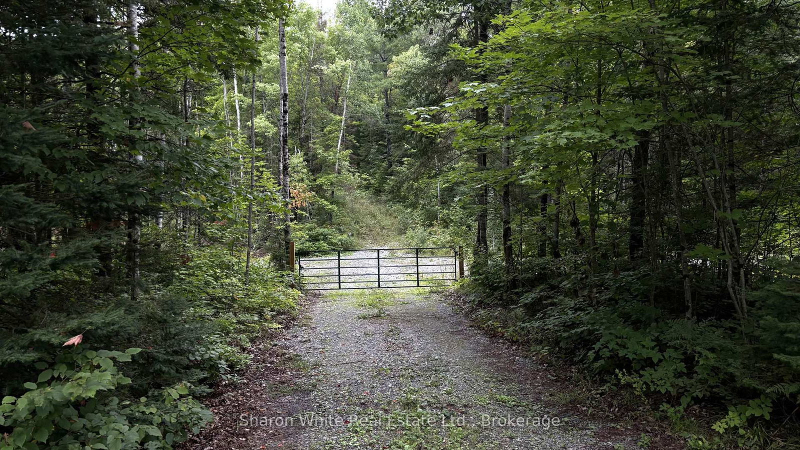 204 Grant Road S • Maynooth, ON photo 3