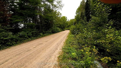 204 Grant Road S • Maynooth, ON photo 4
