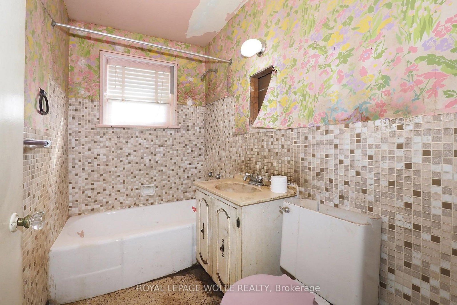 12 Oakwood Avenue • Kitchener, ON photo 18