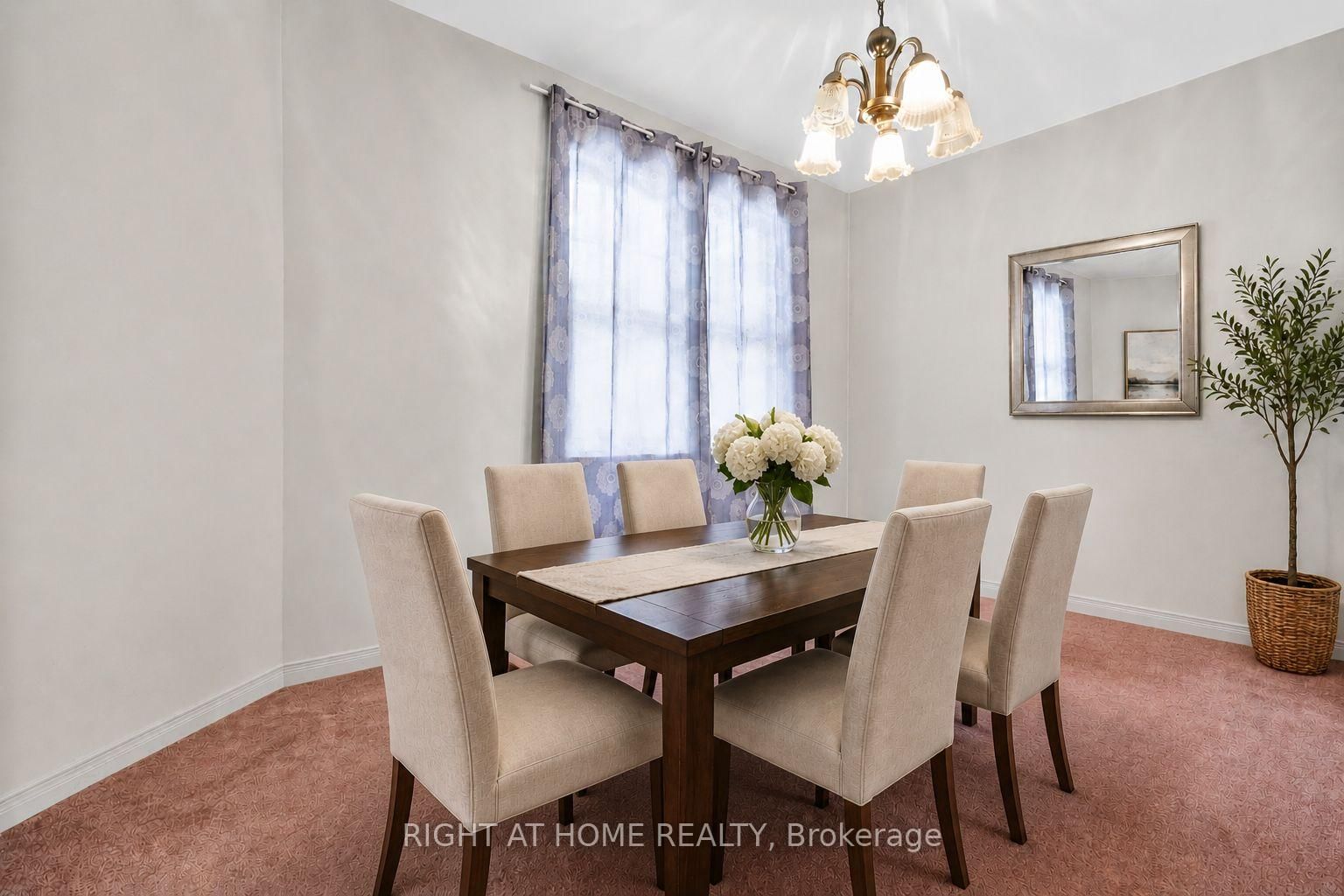 8 Amelia Street — photo 4
