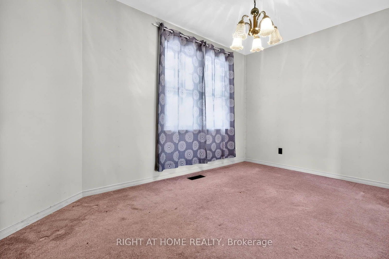 8 Amelia Street — photo 5