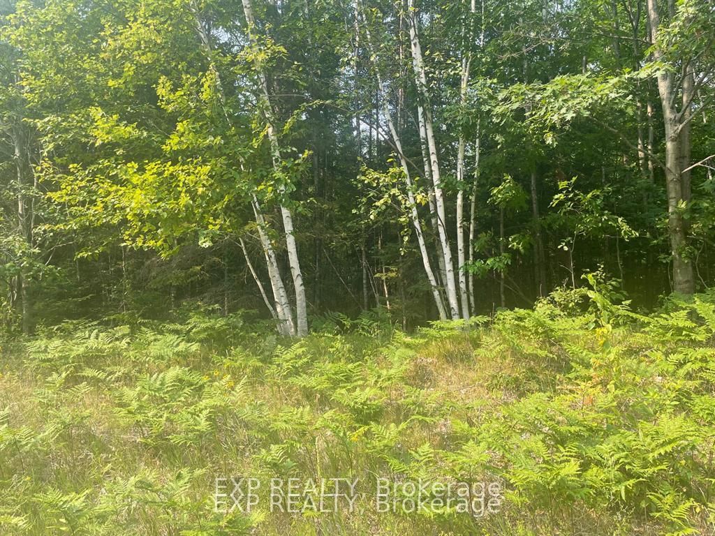 1571 Schutt Road • Palmer Rapids, ON photo 1