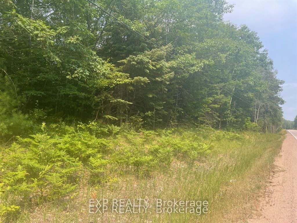1571 Schutt Road • Palmer Rapids, ON photo 3