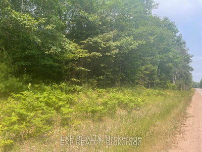 1571 Schutt Road • Palmer Rapids, ON photo 3