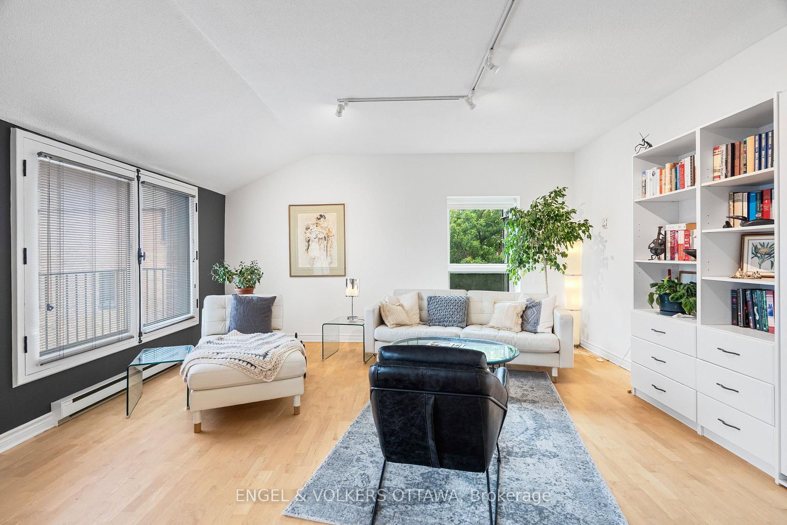 135 Springfield Road • #5 • Ottawa, ON photo 19