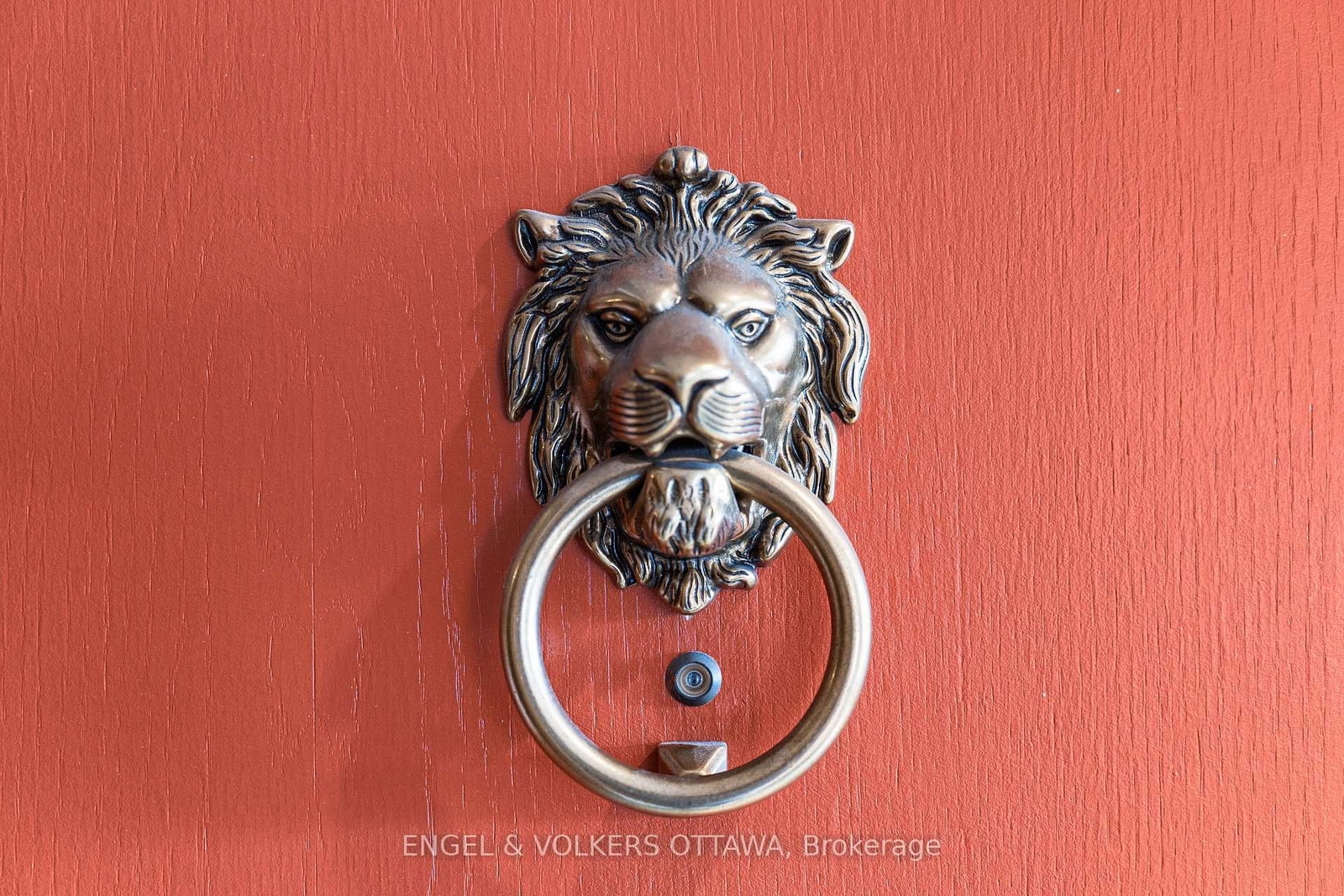 135 Springfield Road • #5 • Ottawa, ON photo 6