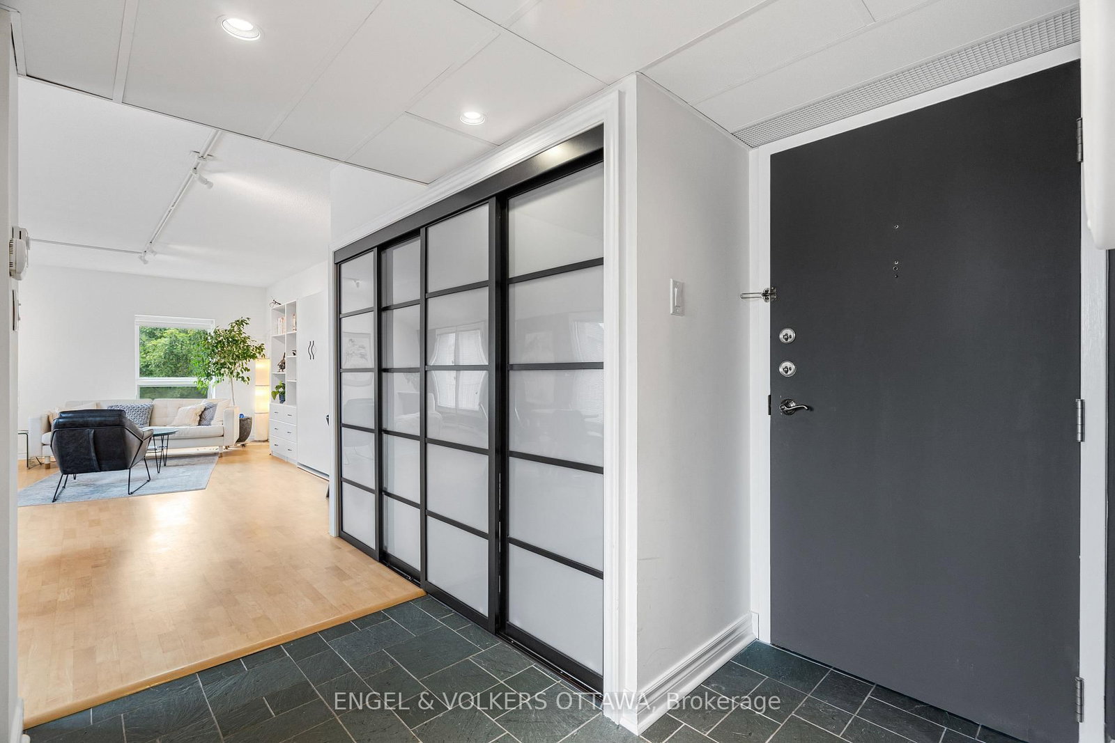 135 Springfield Road • #5 • Ottawa, ON photo 8