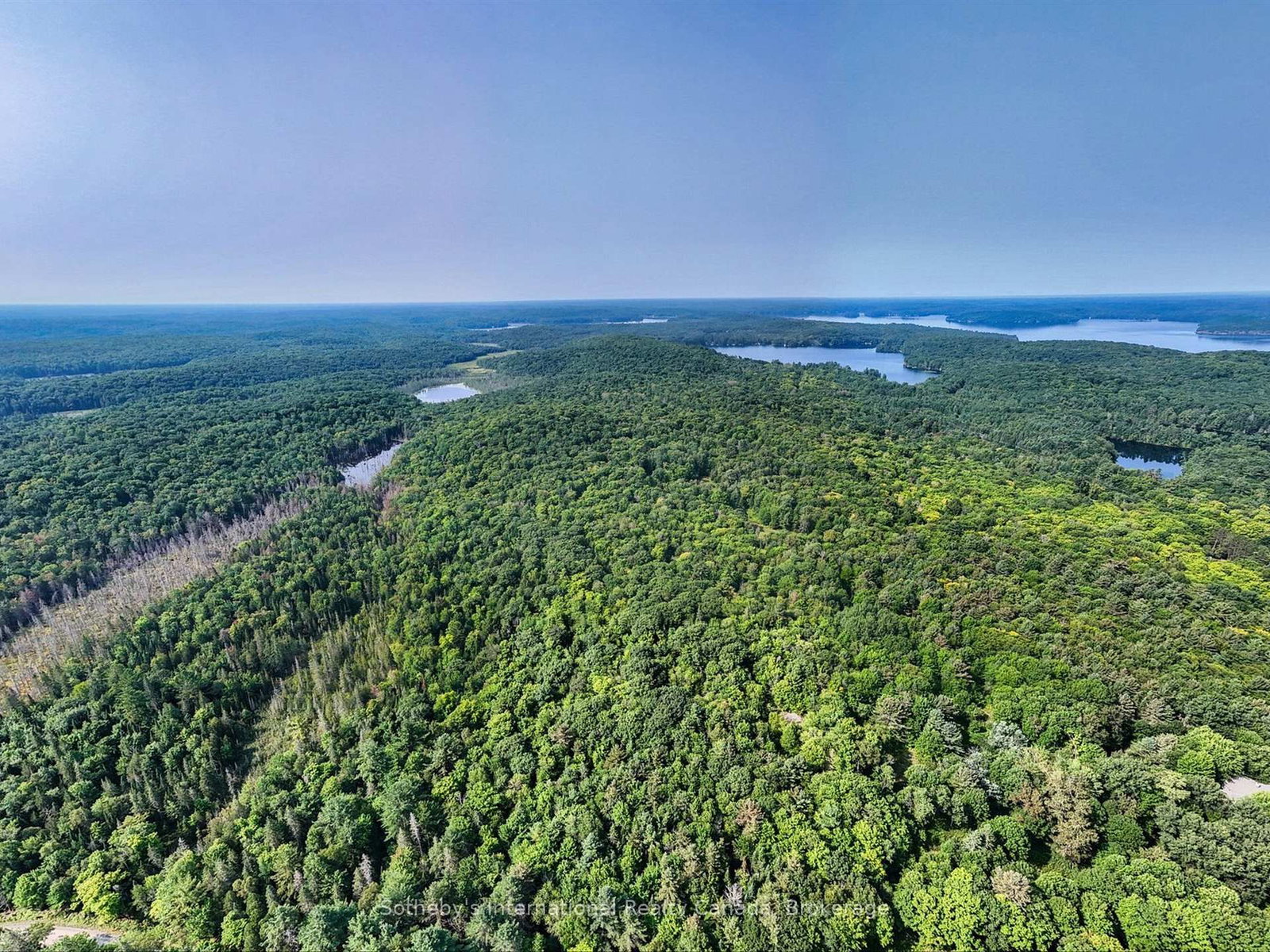 1045 C BROWNS BRAE Road • Lake of Bays, ON photo 10