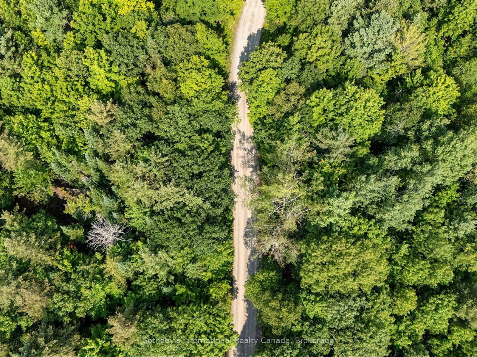 1045 C BROWNS BRAE Road • Lake of Bays, ON photo 14