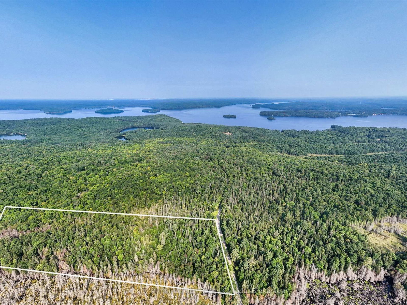 1045 C BROWNS BRAE Road • Lake of Bays, ON photo 16