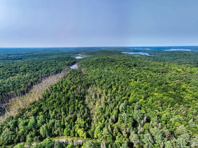 1045 C BROWNS BRAE Road • Lake of Bays, ON photo 2