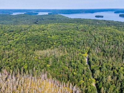 1045 C BROWNS BRAE Road • Lake of Bays, ON photo 3