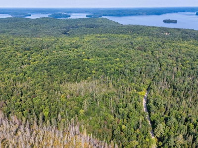 1045 C BROWNS BRAE Road • Lake of Bays, ON photo 5