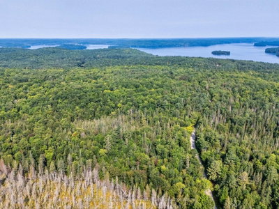 1045 C BROWNS BRAE Road • Lake of Bays, ON photo 8