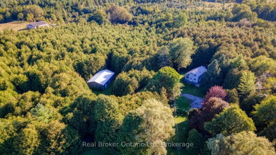 775522 HIGHWAY 10 Highway S • West Grey, ON photo 4