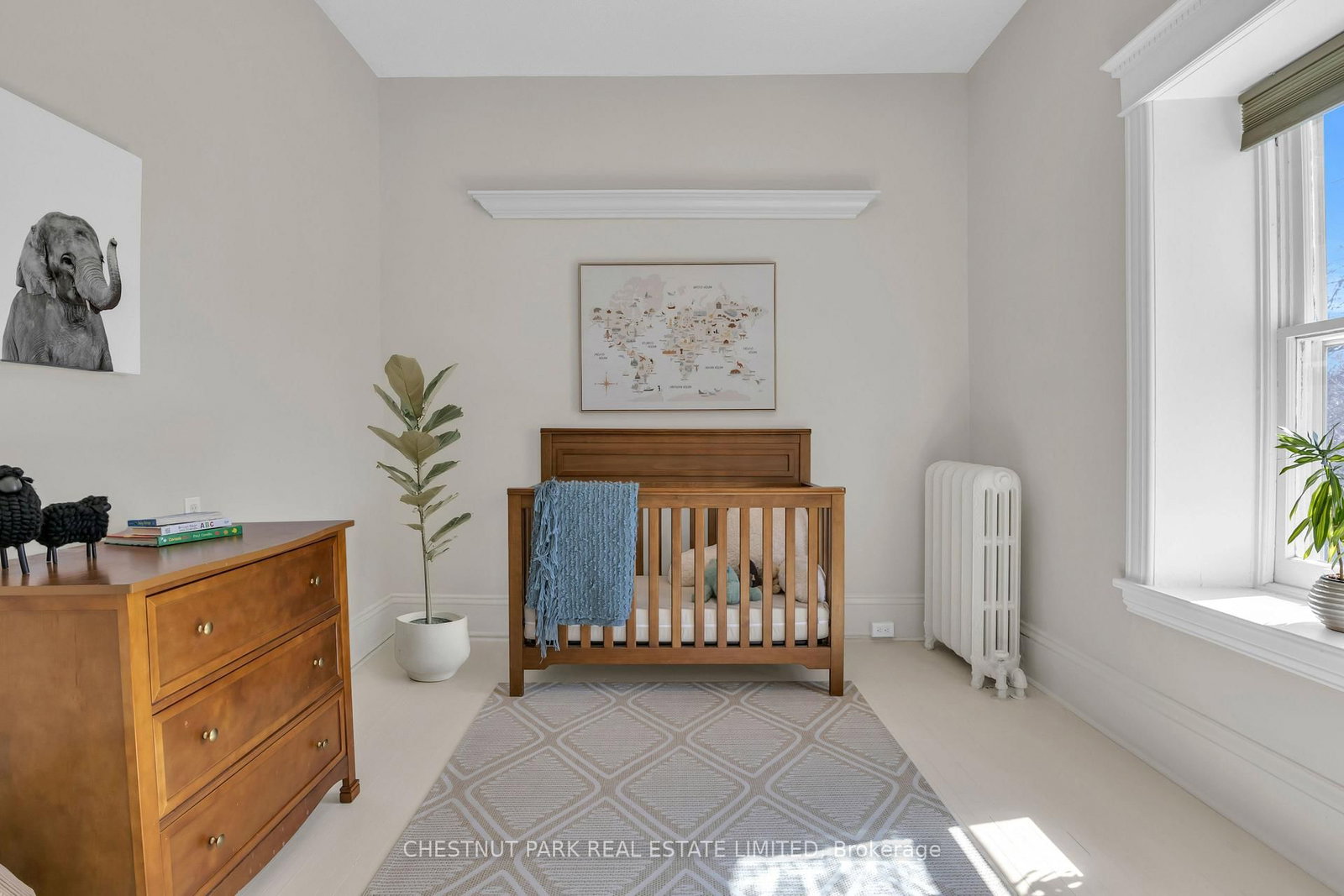 54 Bruce Street • Cambridge, ON photo 21