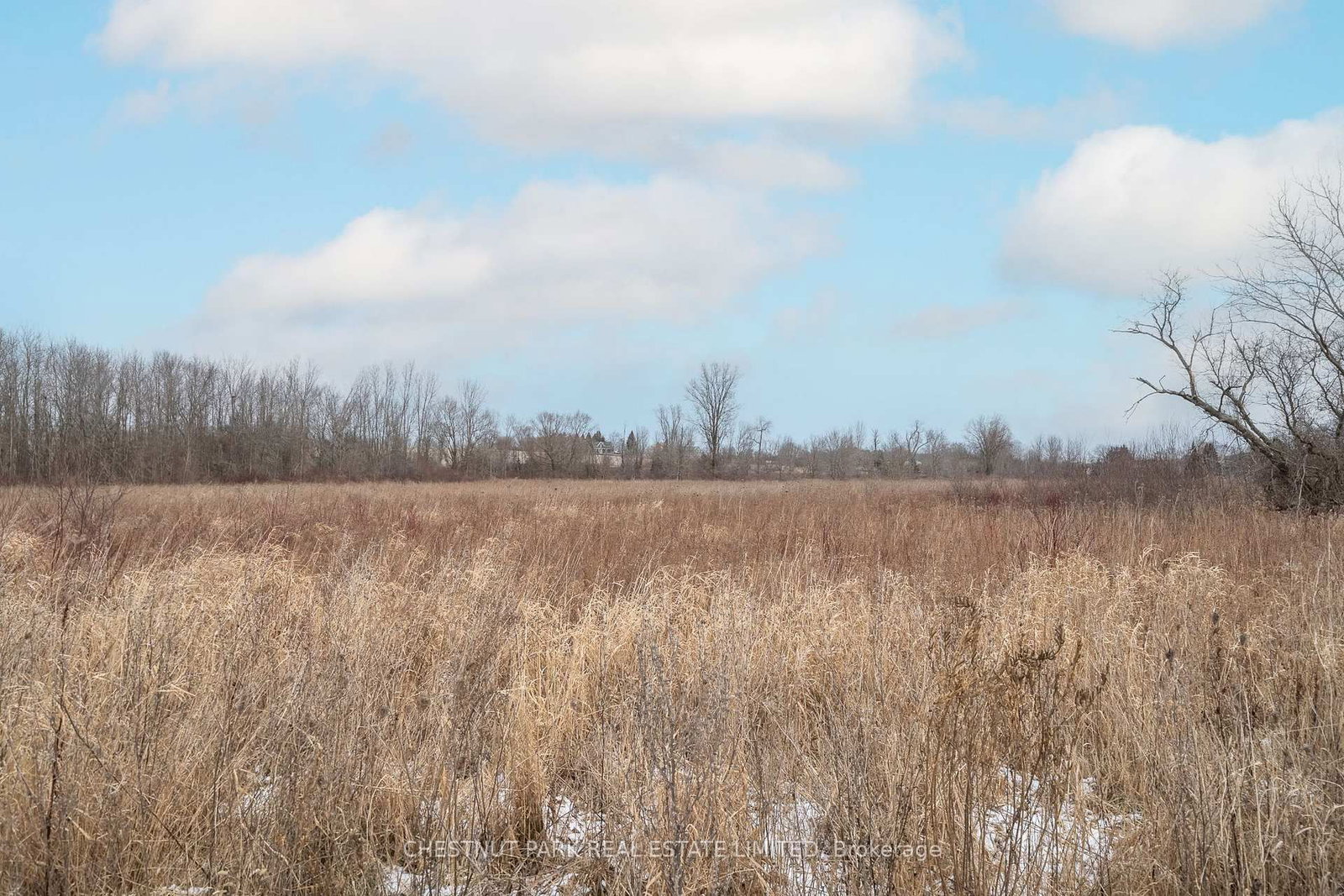 27 Dayton Court • Prince Edward County, ON photo 29