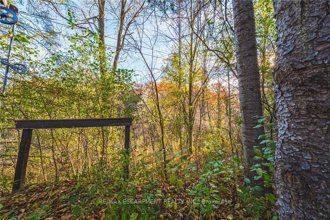 1296 Mineral Springs Road • Hamilton, ON photo 13