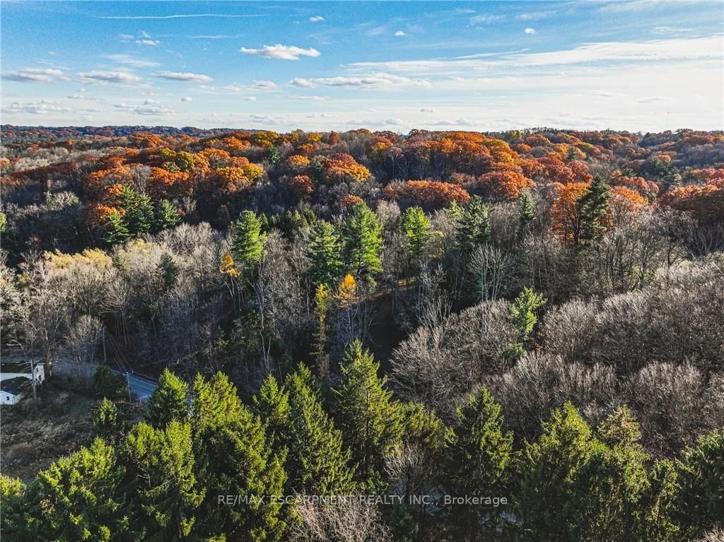 1296 Mineral Springs Road • Hamilton, ON photo 17