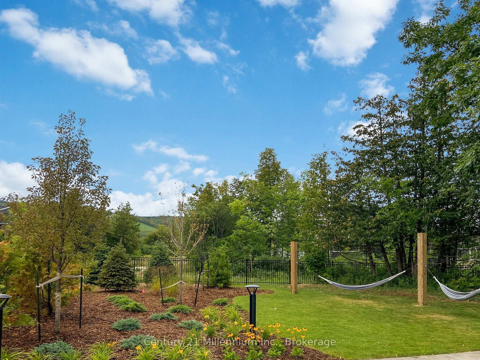 115 Courtland Street • Blue Mountains, ON photo 41