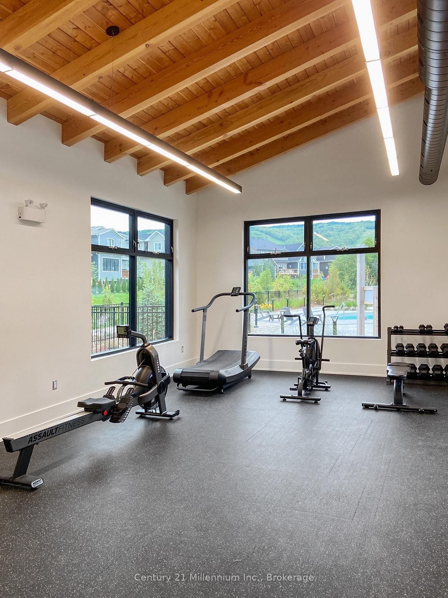 115 Courtland Street • Blue Mountains, ON photo 45
