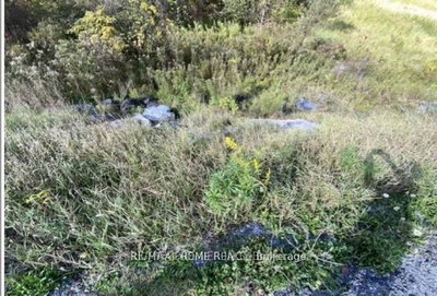 PT Con 5 Pt Lot 5 Road • Madoc, ON photo 3