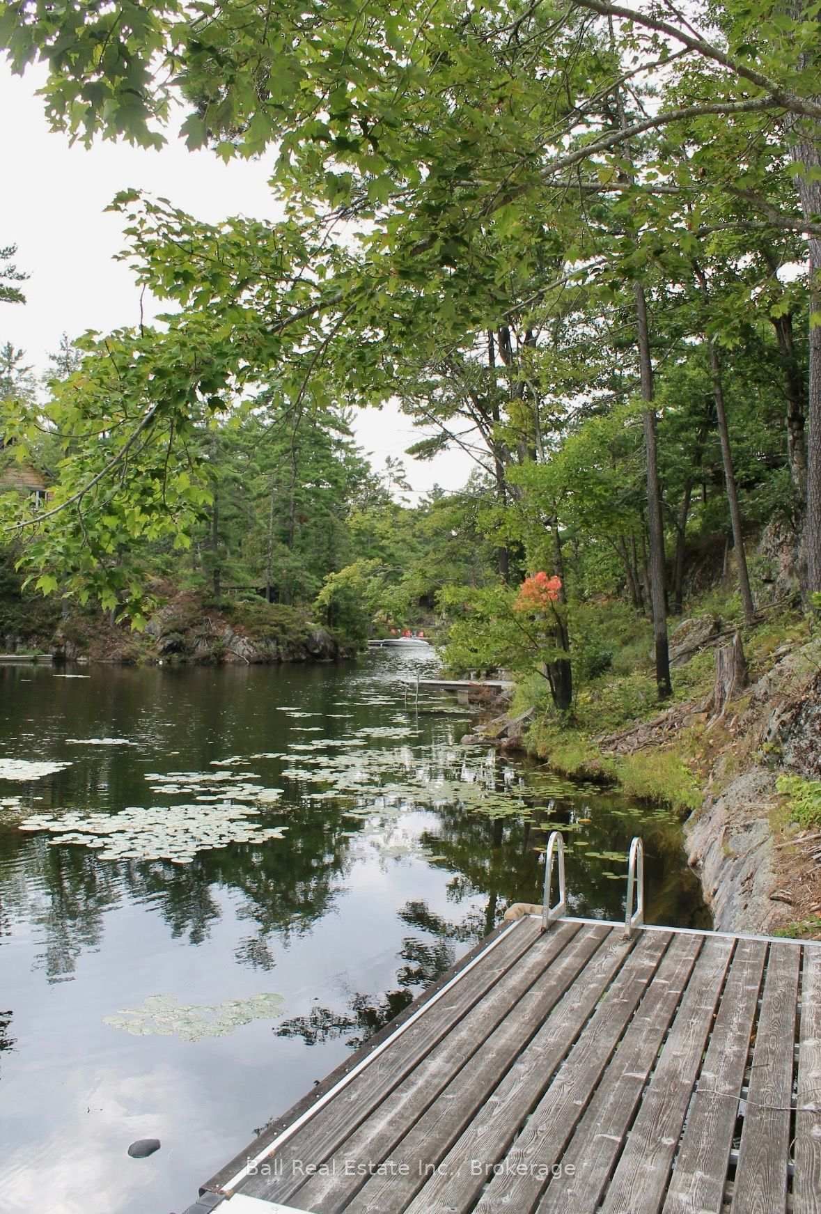 3559 Harbour Point Lane • Selwyn, ON photo 48