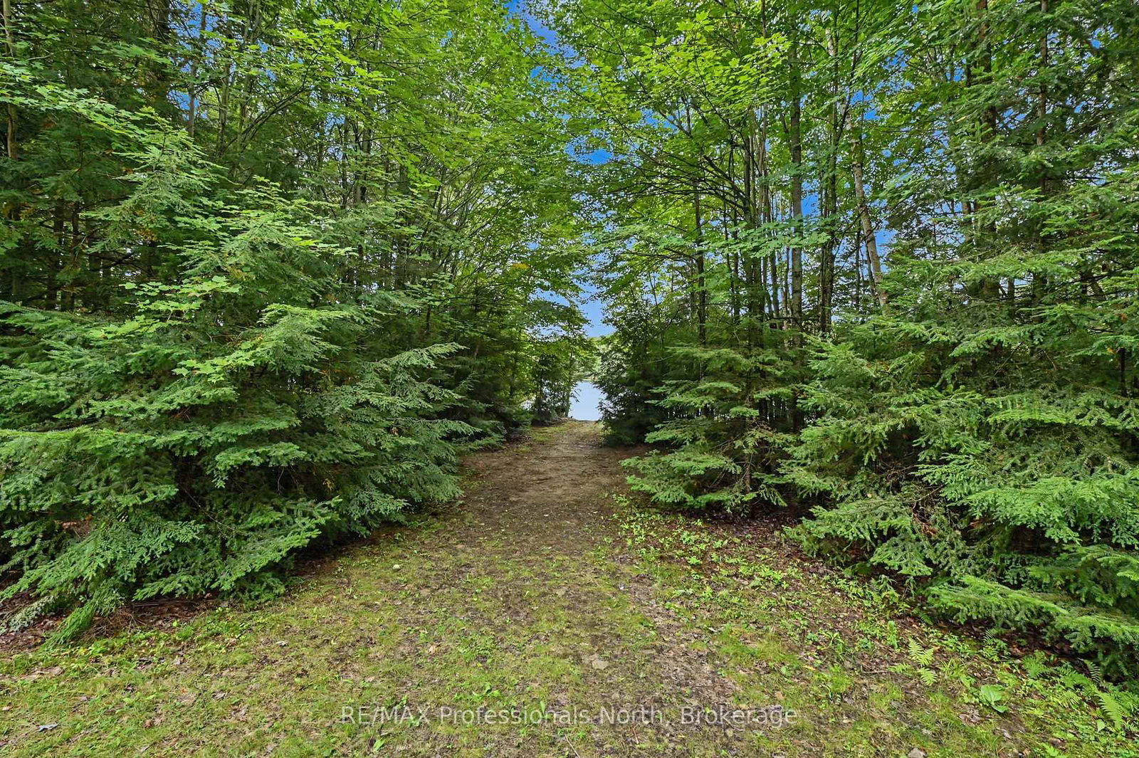 1363 Ross Lake Road • Dysart et al, ON photo 28