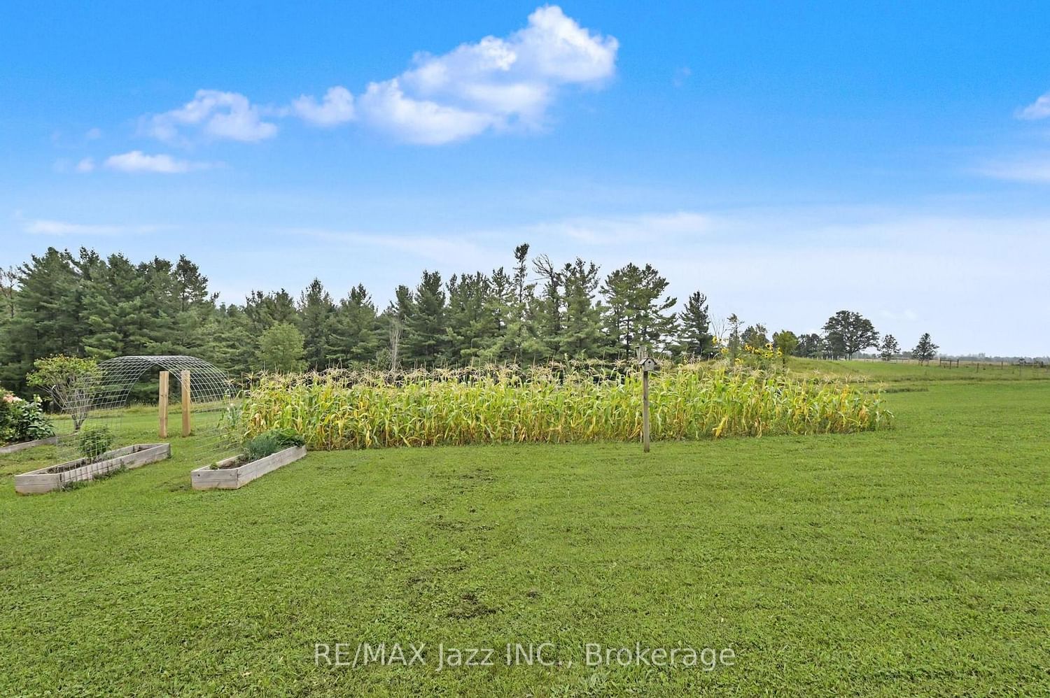 753 Syer 8th Line • Cavan Monaghan, ON photo 20