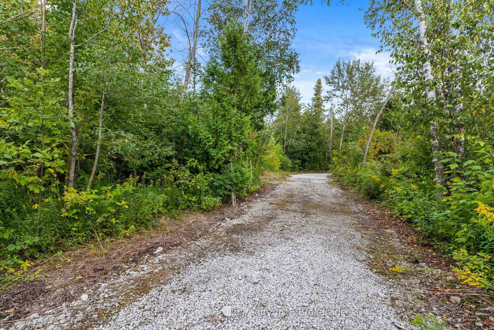 172 Greenough Point Road • Northern Bruce Peninsula, ON photo 10
