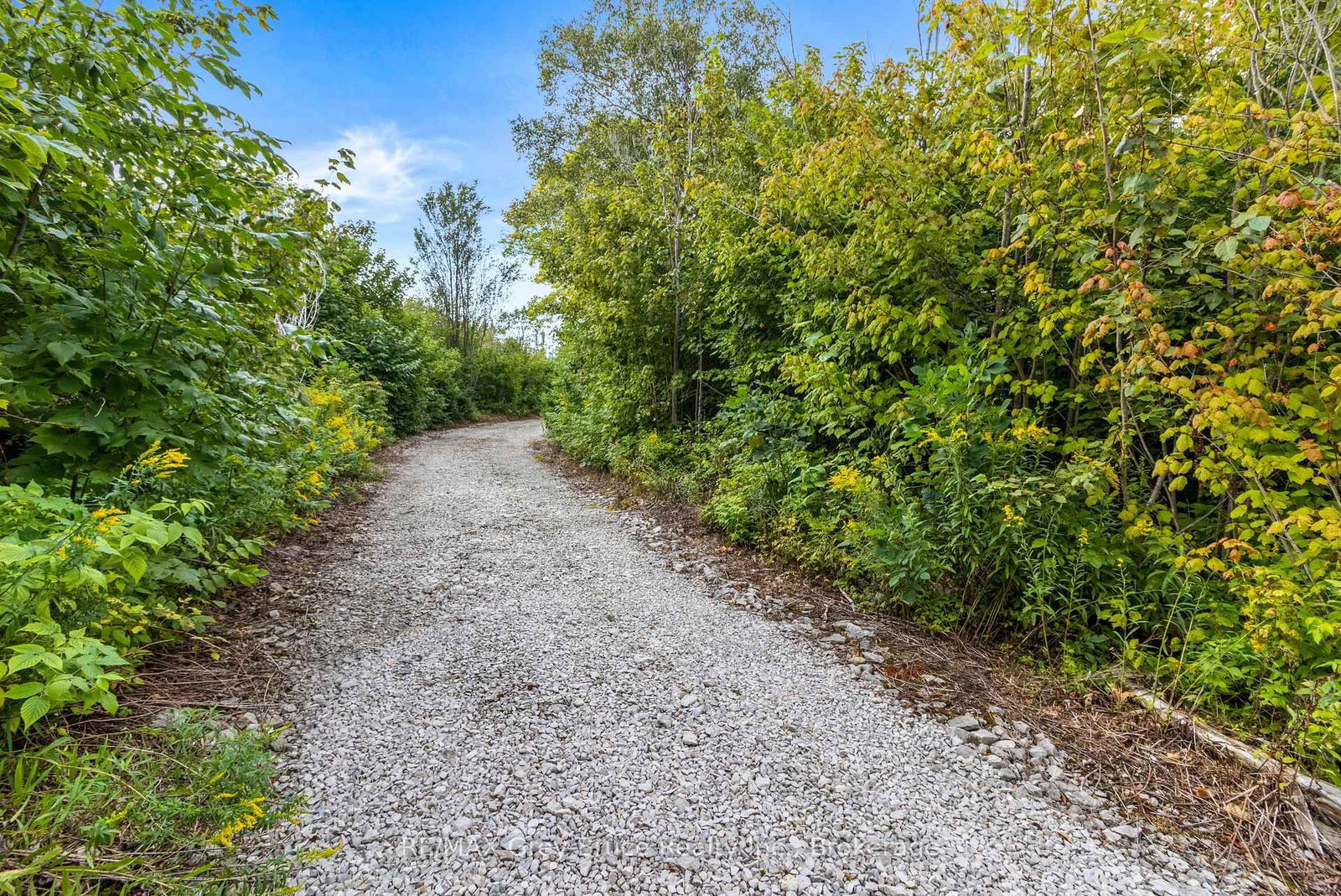 172 Greenough Point Road • Northern Bruce Peninsula, ON photo 11