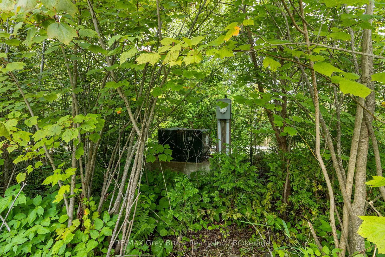 172 Greenough Point Road • Northern Bruce Peninsula, ON photo 12