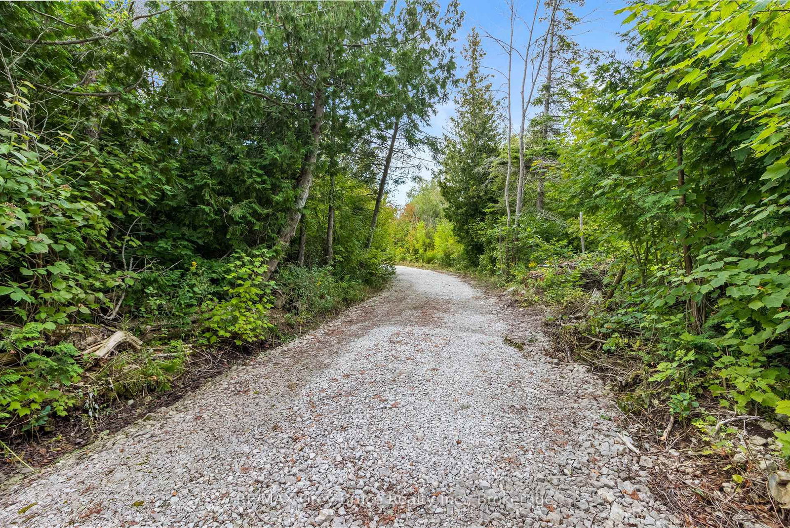 172 Greenough Point Road • Northern Bruce Peninsula, ON photo 14