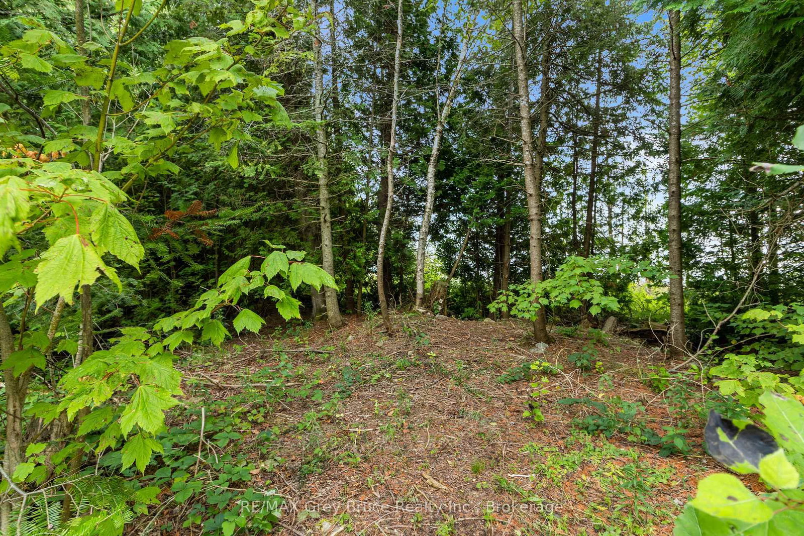 172 Greenough Point Road • Northern Bruce Peninsula, ON photo 22