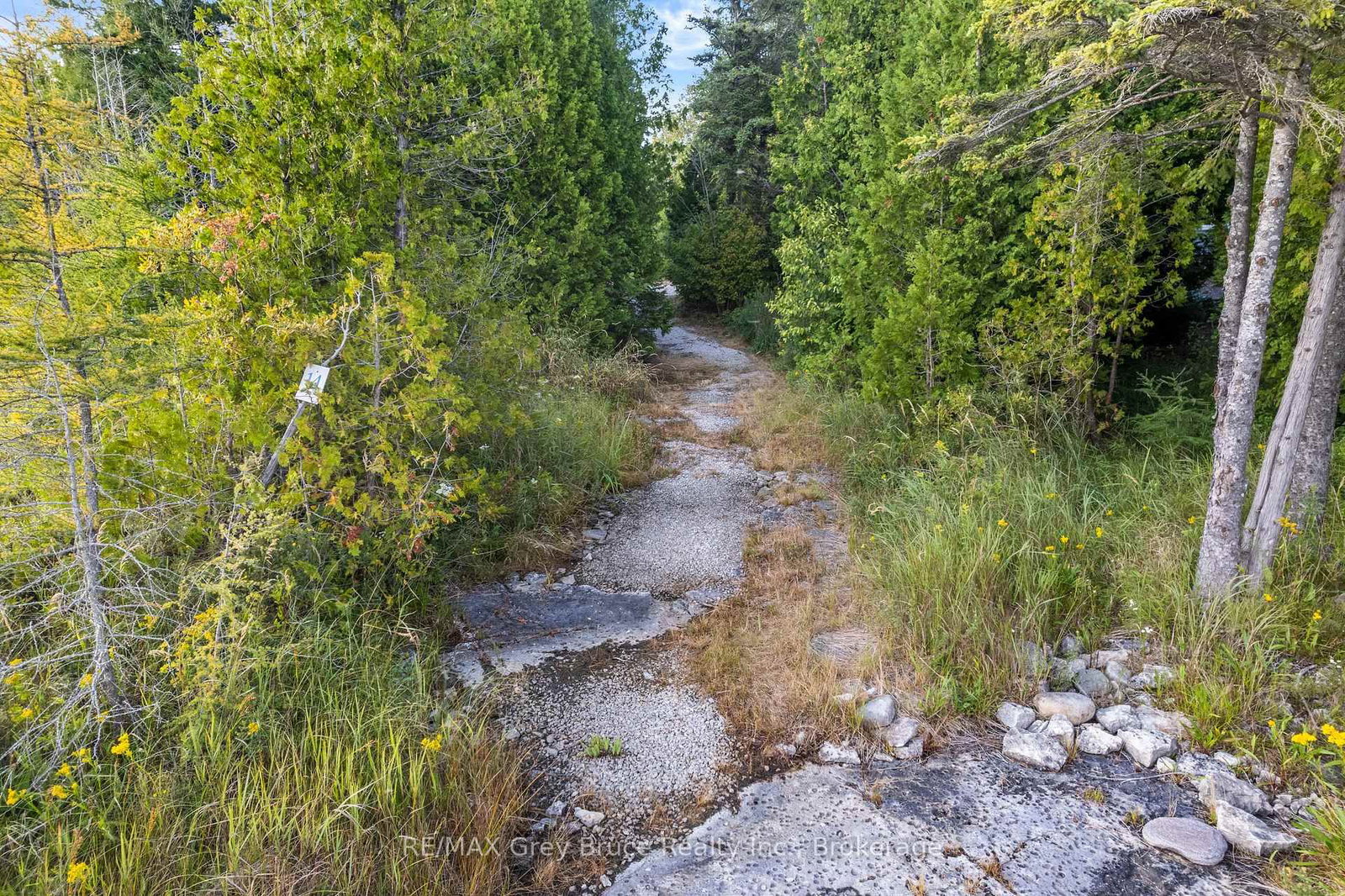 172 Greenough Point Road • Northern Bruce Peninsula, ON photo 25