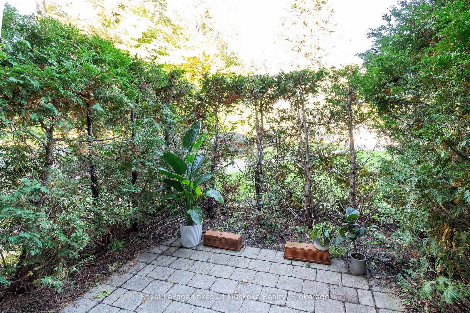 24 Ontario Street • #110 • Bracebridge, ON photo 31