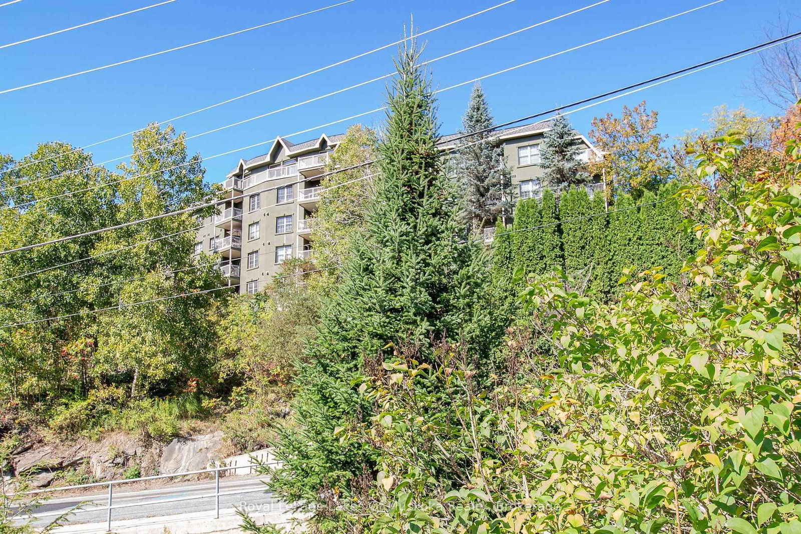 24 Ontario Street • #110 • Bracebridge, ON photo 32