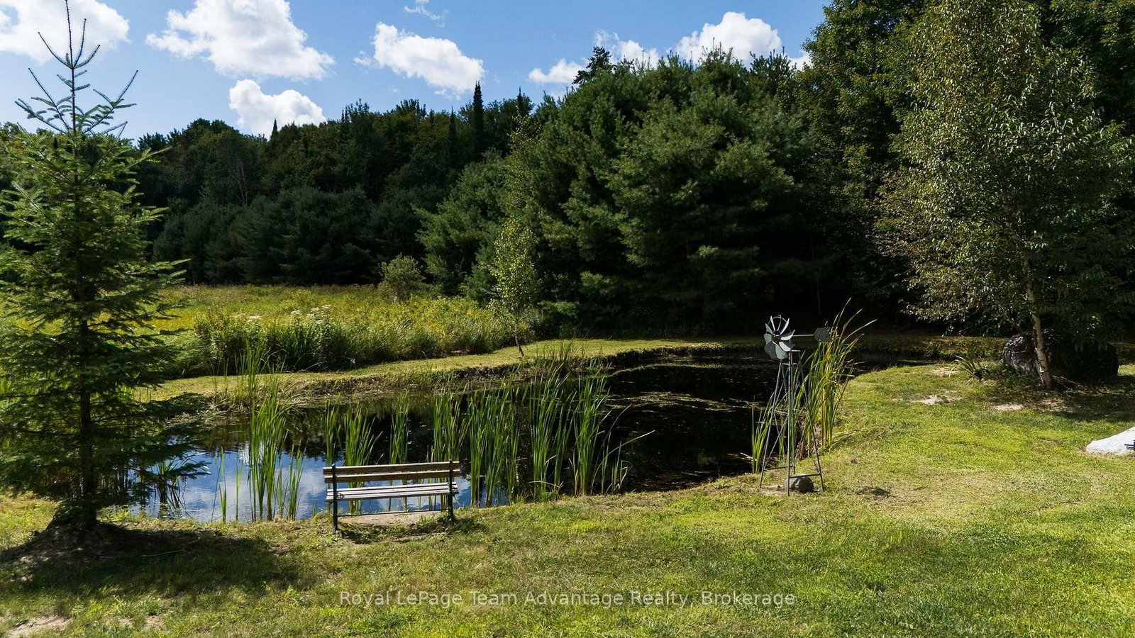 170 Bunny Trail • McDougall, ON photo 8