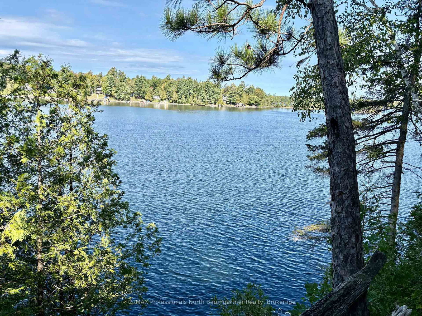1803 Crystal Lake Road • Trent Lakes, ON photo 28