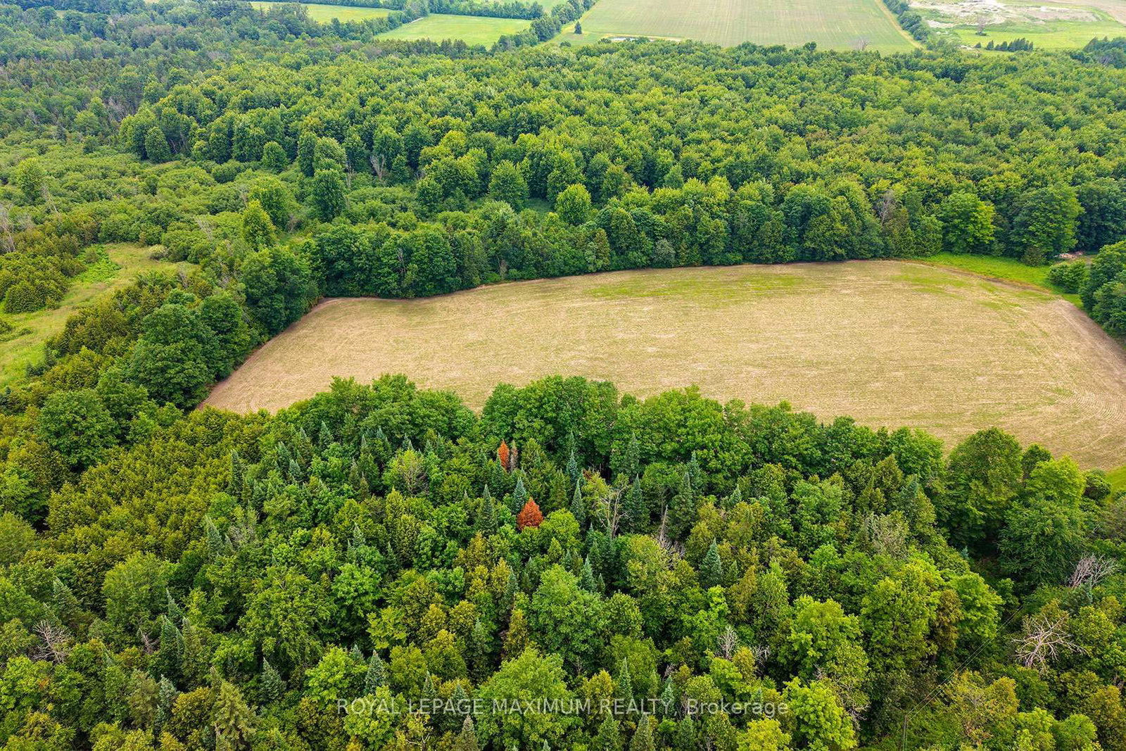 5575 7 Line • Guelph/Eramosa, ON photo 36