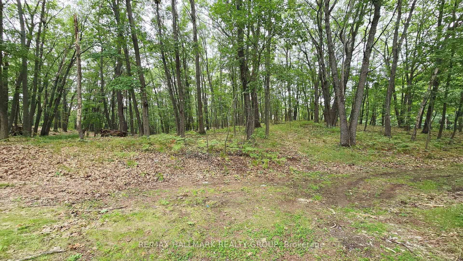 1153 Bayview Drive • Ottawa, ON photo 6