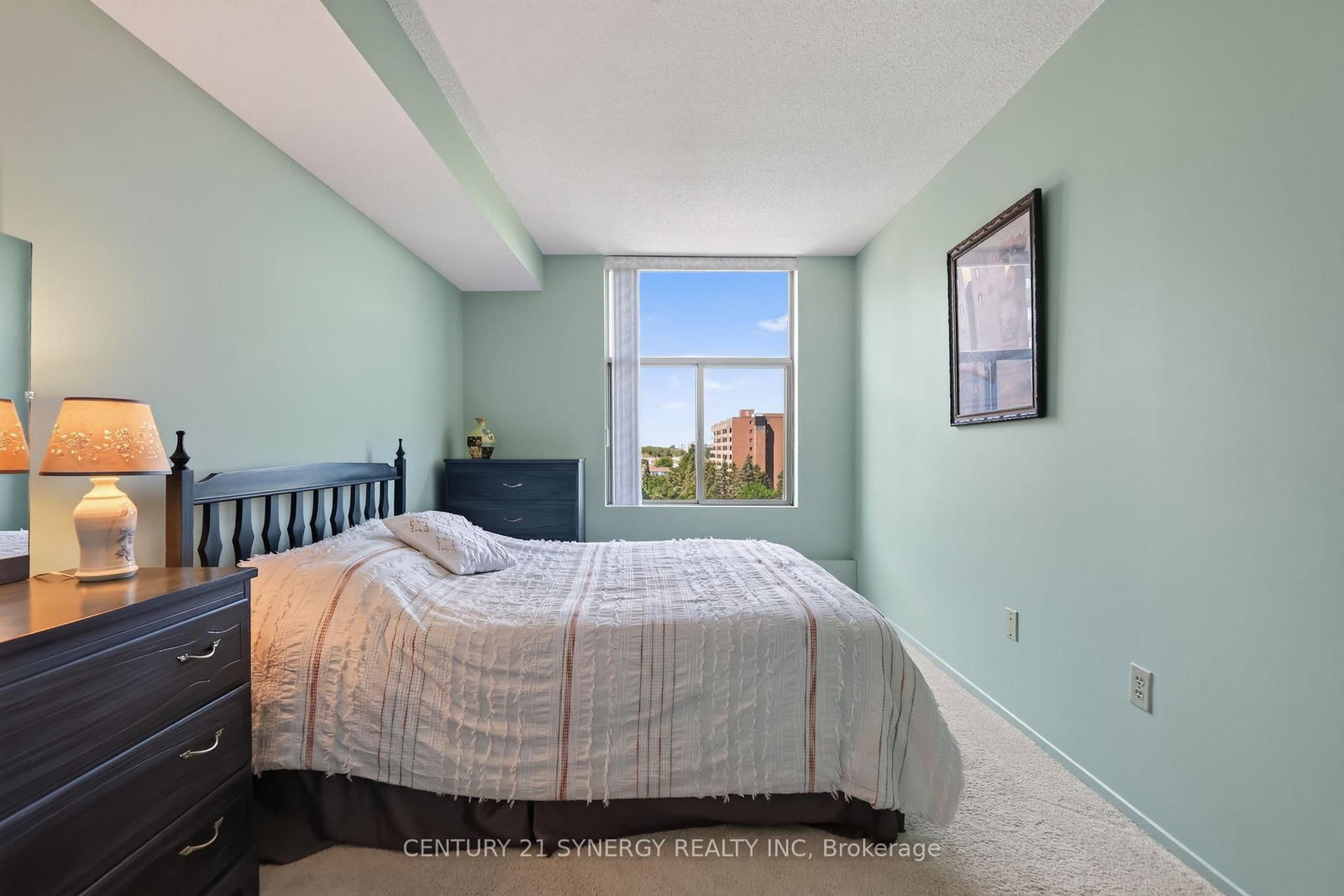 2759 Carousel Crescent • #704 • Ottawa, ON photo 32