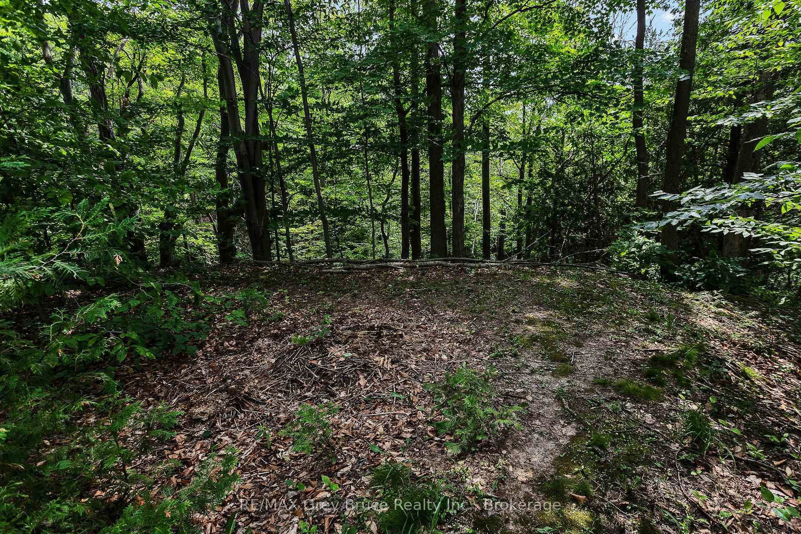 336 6th Avenue E • Owen Sound, ON photo 7