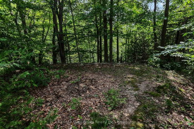 336 6th Avenue E • Owen Sound, ON photo 7